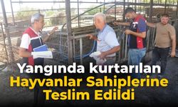 Yangında kurtarılan Hayvanlar Sahiplerine Teslim Edildi