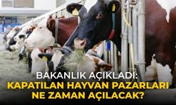 Bakanlık açıkladı: Kapatılan hayvan pazarları ne zaman açılacak?