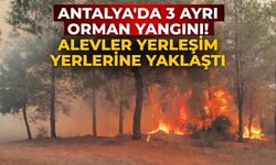 Antalya'da 3 ayrı orman yangını! Alevler yerleşim yerlerine yaklaştı