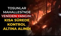 Tosunlar Mahallesi’nde Yeniden Yangın: Kısa Sürede Kontrol Altına Alındı