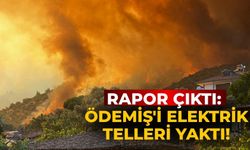 Rapor çıktı: Ödemiş'i elektrik telleri yaktı!