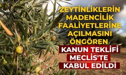 Zeytinliklerin madencilik faaliyetlerine açılmasını öngören kanun teklifi Meclis'te kabul edildi
