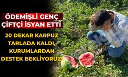 Ödemişli Genç çiftçi İsyan Etti 20 Dekar Karpuz Tarlada Kaldı, Kurumlardan Destek Bekliyoruz!