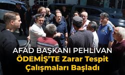 AFAD BAŞKANI PEHLİVAN ÖDEMİŞ’TE Zarar Tespit Çalışmaları Başladı