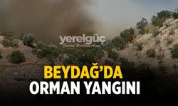 Beydağ’da orman yangını