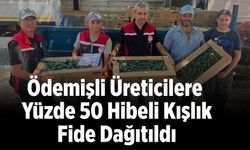 Ödemişli Üreticilere Yüzde 50 Hibeli Kışlık Fide Dağıtıldı