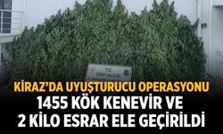 Kiraz’da uyuşturucu operasyonu 1455 kök kenevir ve 2 kilo esrar ele geçirildi