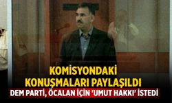 Komisyondaki konuşmaları paylaşıldı DEM Parti, Öcalan için 'umut hakkı' istedi