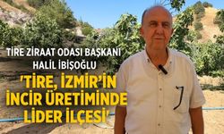 Tire Ziraat Odası Başkanı Halil İbişoğlu 'Tire, İzmir’in İncir Üretiminde Lider İlçesi'