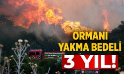 Ormanı yakma bedeli 3 yıl!