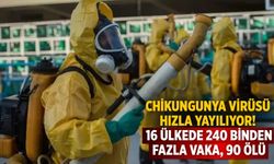 Chikungunya virüsü hızla yayılıyor! 16 ülkede 240 binden fazla vaka, 90 ölü