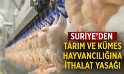 Suriye’den tarım ve kümes hayvancılığına ithalat yasağı