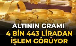 Altının gramı 4 bin 443 liradan işlem görüyor