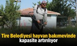 Tire Belediyesi hayvan bakımevinde kapasite artırılıyor