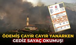 Ödemiş cayır cayır yanarken GEDİZ sayaç okumuş!