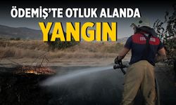 ÖDEMİŞ’TE OTLUK ALANDA YANGIN