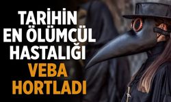 Tarihin en ölümcül hastalığı veba hortladı