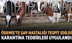 ÖDEMİŞ’TE ŞAP HASTALIĞI TESPİT EDİLDİ