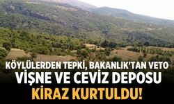 Vişne ve ceviz deposu Kiraz kurtuldu!