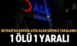Beydağ’da köpeğe ateş açan şüpheli yakalandı