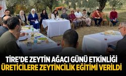 Tire’de Zeytin Ağacı Günü Etkinliği
