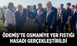 Ödemiş’te Osmaniye Yer Fıstığı Hasadı Gerçekleştirildi