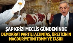 ŞAP KRİZİ MECLİS GÜNDEMİNDE DEMOKRAT PARTİLİ ALTINTAŞ, ÜRETİCİNİN MAĞDURİYETİNİ TBMM’YE TAŞIDI