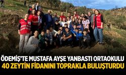 Ödemiş’te Mustafa Ayşe Yanbastı Ortaokulu 40 Zeytin Fidanını Toprakla Buluşturdu