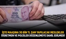 İşte maaşına 30 bin TL zam yapılacak meslekler