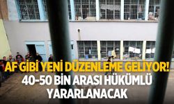Af gibi yeni düzenleme geliyor! 40-50 bin arası hükümlü yararlanacak