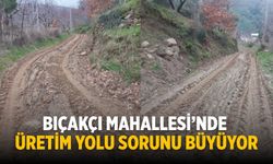 BIÇAKÇI MAHALLESİ’NDE ÜRETİM YOLU SORUNU BÜYÜYOR
