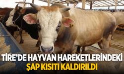 Tire’de Hayvan Hareketlerindeki Şap Kısıtı Kaldırıldı