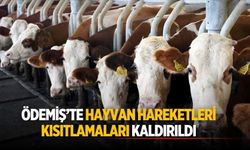 Ödemiş’te Hayvan Hareketleri Kısıtlamaları Kaldırıldı