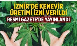 İzmir’de Kenevir üretimi izni verildi Resmi Gazete'de yayınlandı