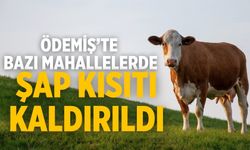 Ödemiş’te Bazı Mahallelerde Şap Kısıtı Kaldırıldı