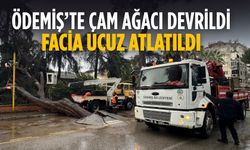 ÖDEMİŞ’TE ÇAM AĞACI DEVRİLDİ FACİA UCUZ ATLATILDI