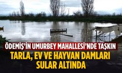 Ödemiş’in Umurbey Mahallesi’nde Taşkın Tarla, Ev ve Hayvan Damları Sular Altında