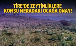 Tire’de Zeytinliklere komşu meradaki ocağa onay!