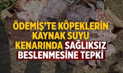 Ödemiş’te köpeklerin kaynak suyu kenarında sağlıksız beslenmesine tepki