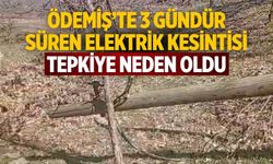 Ödemiş’te 3 Gündür süren Elektrik Kesintisi Tepkiye Neden Oldu