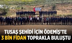 TUSAŞ Şehidi İçin Ödemiş’te 3 Bin Fidan Toprakla Buluştu