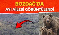 BOZDAĞ’DA AYI AİLESİ GÖRÜNTÜLENDİ