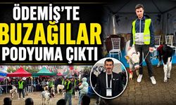 Ödemiş'te Buzağılar podyuma çıktı