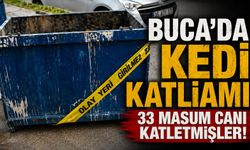 Buca’da kedi katliamı 33 masum canı katletmişler!