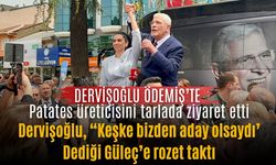 DERVİŞOĞLU ÖDEMİŞ’TE Patates üreticisini tarlada ziyaret etti