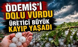 Ödemiş’i Dolu Vurdu Üretici Büyük Kayıp Yaşadı
