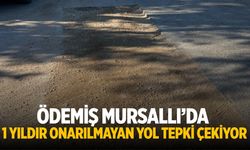 ÖDEMİŞ MURSALLI’DA 1 YILDIR ONARILMAYAN YOL TEPKİ ÇEKİYOR