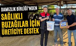 Damızlık Birliği’nden Sağlıklı Buzağılar için üreticiye destek