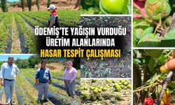 Ödemiş’te Yağışın Vurduğu Üretim Alanlarında Hasar Tespit Çalışması