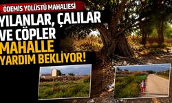 Ödemiş Yolüstü mahallesi Yılanlar, Çalılar ve Çöpler Mahalle Yardım Bekliyor